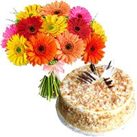 Valentine's Day Cake Delivery in Jammu - Gerbera Flowers Bouquet to Jammu